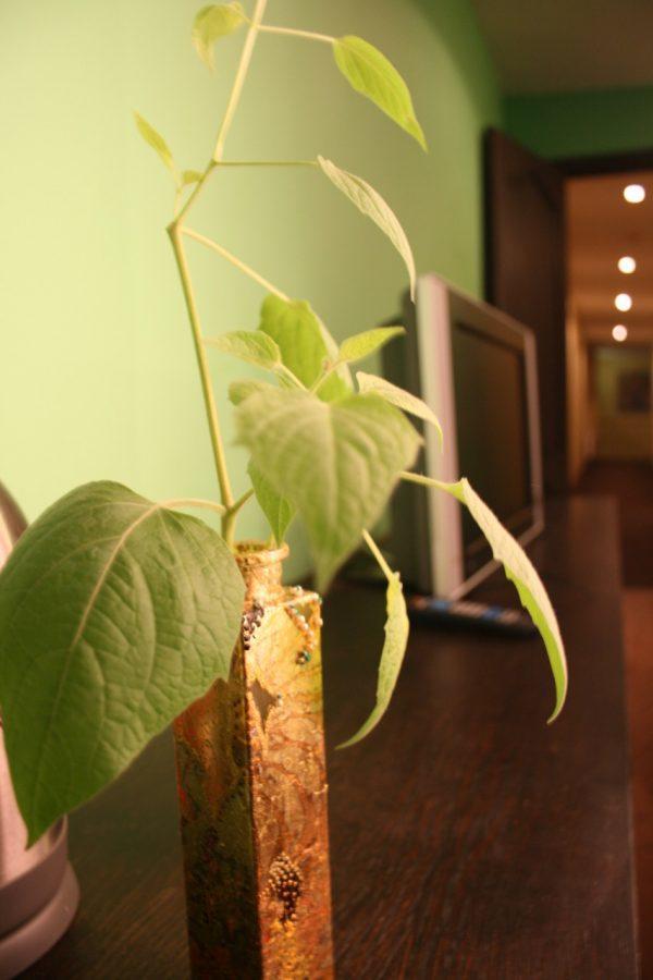 Hotel Evaline Riga Extérieur photo